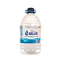 CAJA 1 UND AGUA DE BEJIS GARRAFA 5 L