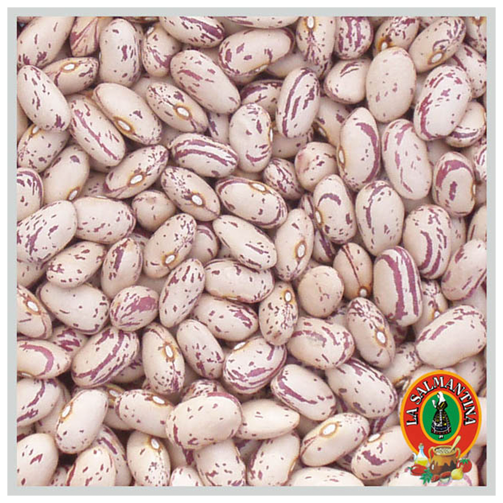 CAJA ALUBIA PINTA ESPECIAL BOLSA 5 KG