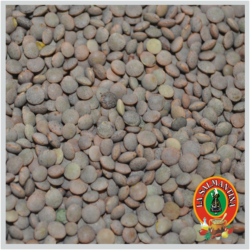 CAJA LENTEJA PARDINA ESPECIAL BOLSA 5 KG