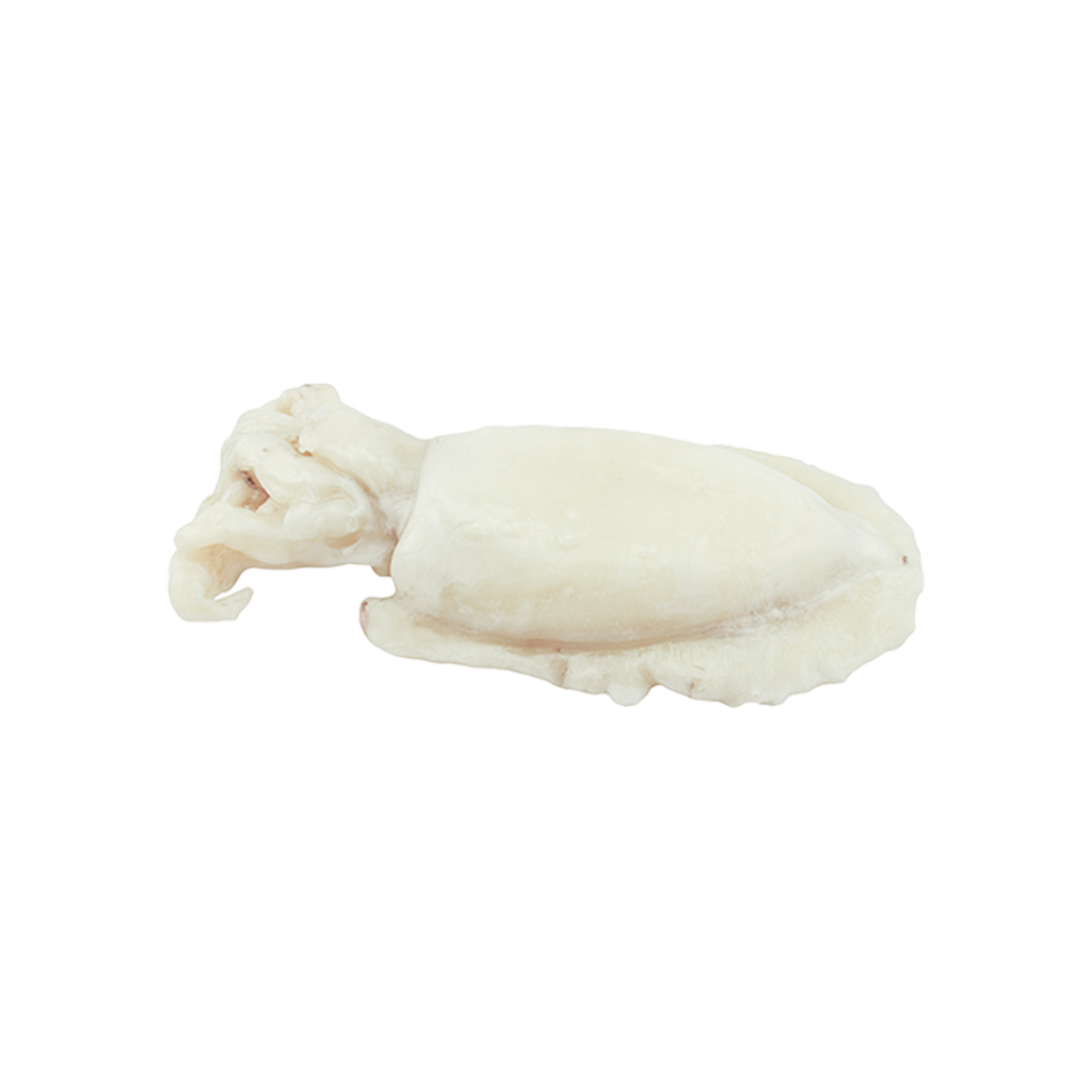 KG 7 SEPIA LIMPIA GIGANTE SIN PIEL (FAO34) (+1000/2000 g/pza.) IQF
