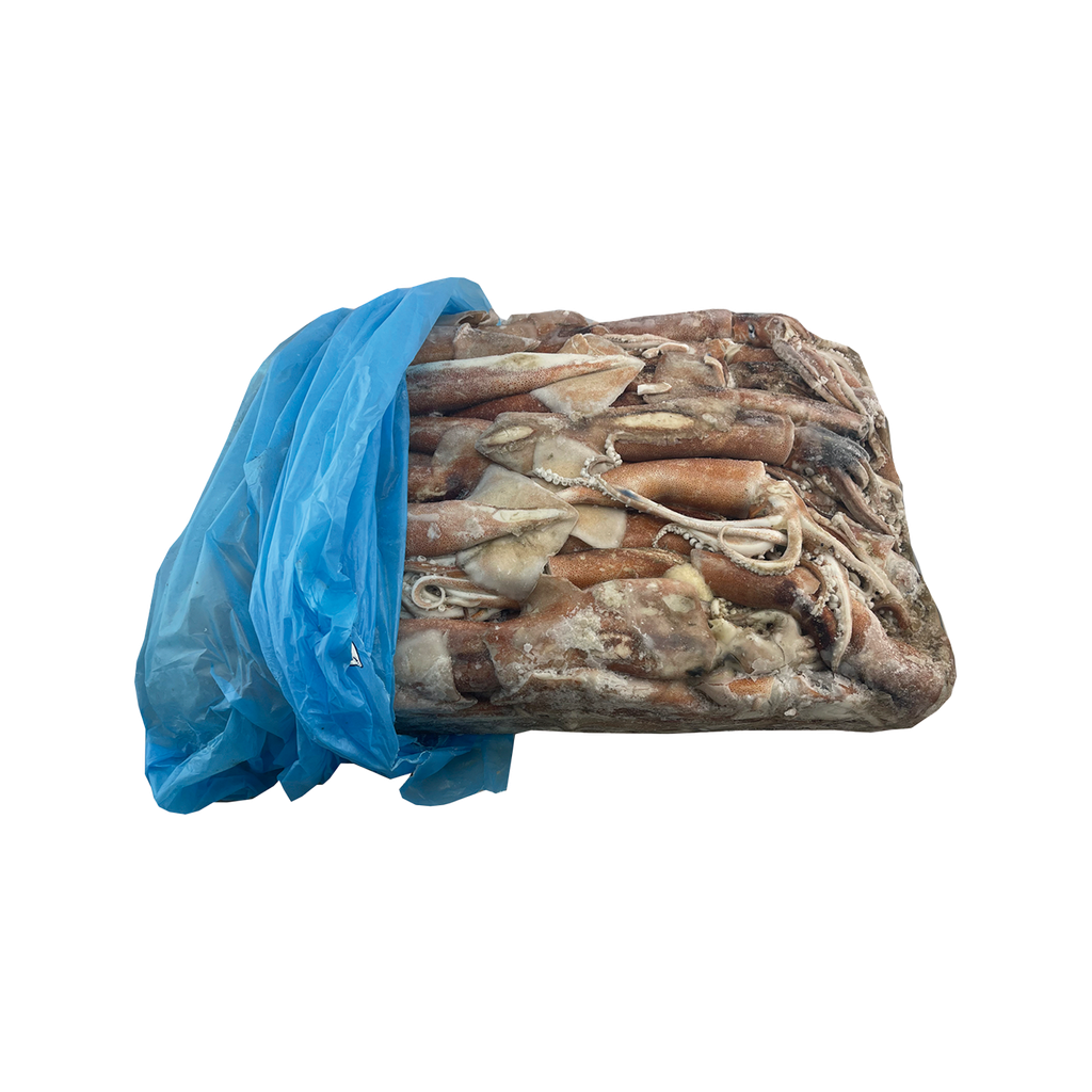 KG 14 CALAMAR VOLADOR (POTA) FAO 41-14/18 CM