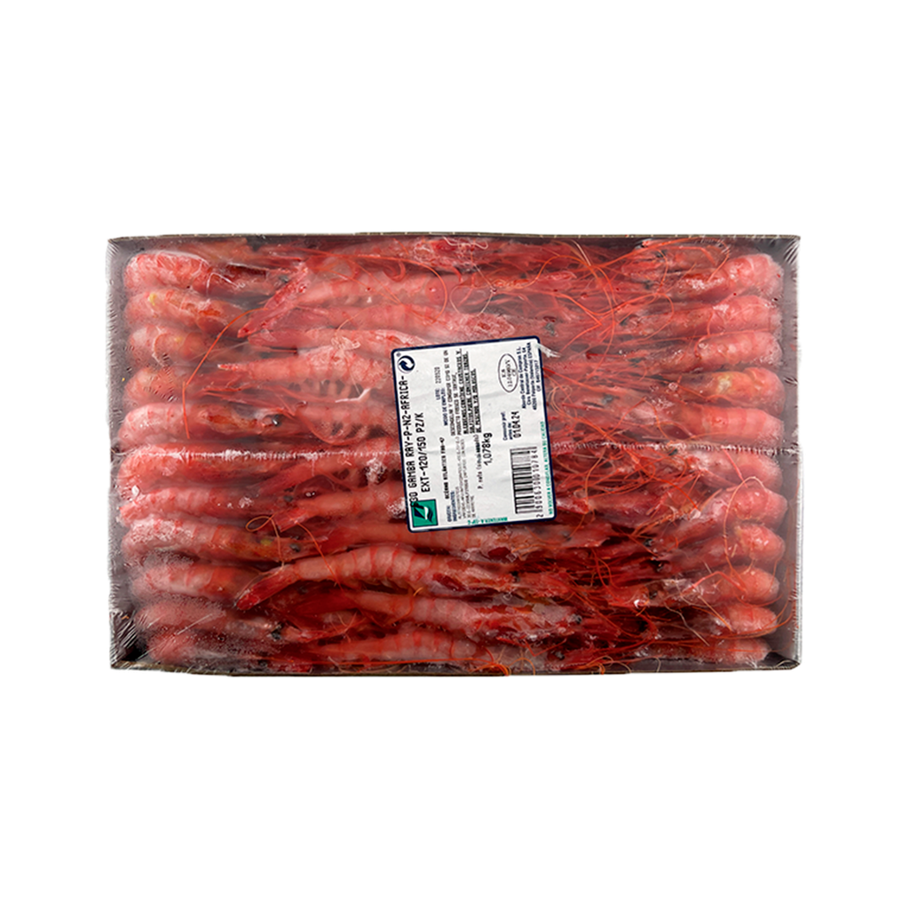 KG 1 GAMBA RAY P N2 (AFRICA) EXT 100/120 PZ/K