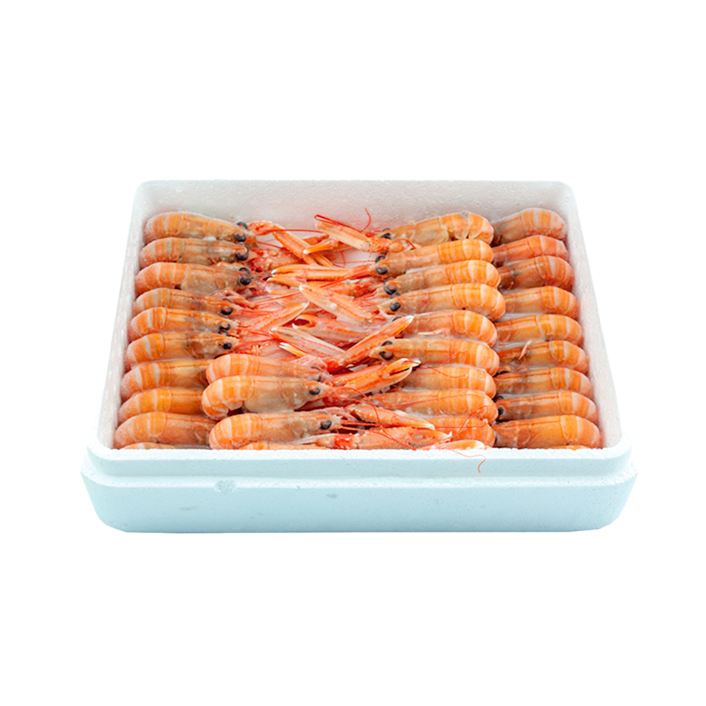 KG 1.5 CIGALAS GRANDES (3) (21/25 PZ/KG) 17%