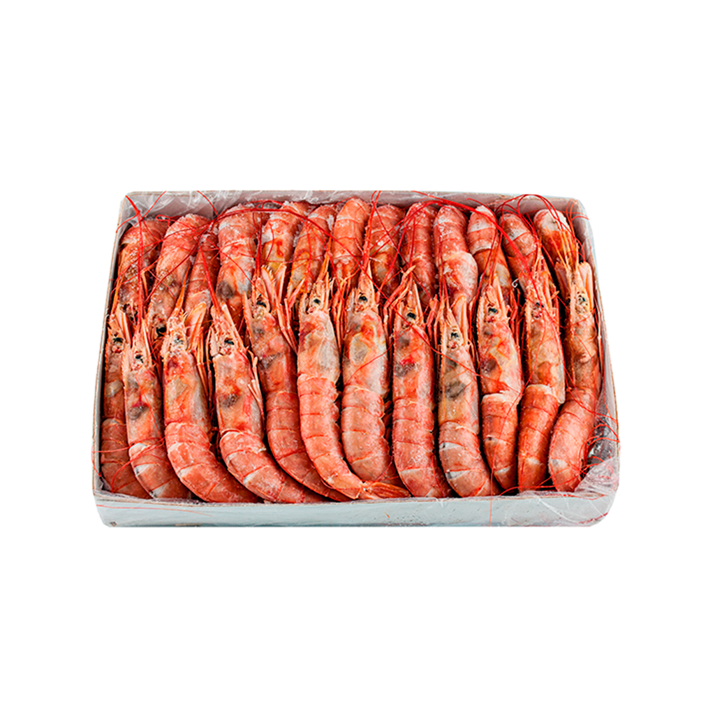 KG 2 GAMBON GIGANTE (T) (20/30 PZAS)