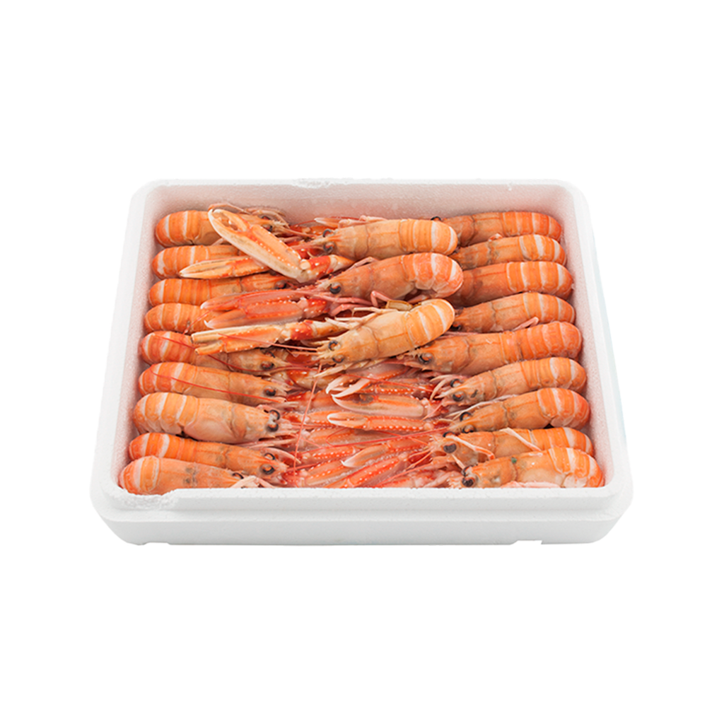 KG 1 CIGALAS GRANDES (1)TRONCO (11/15 PZ/KG)