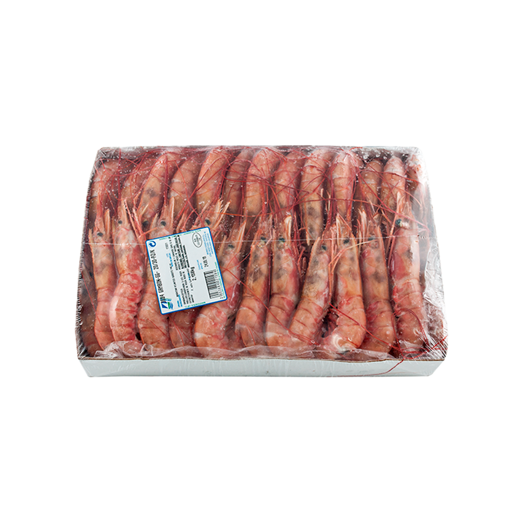 KG 2 GAMBON GIGANTE (B) (20/30 PZAS)