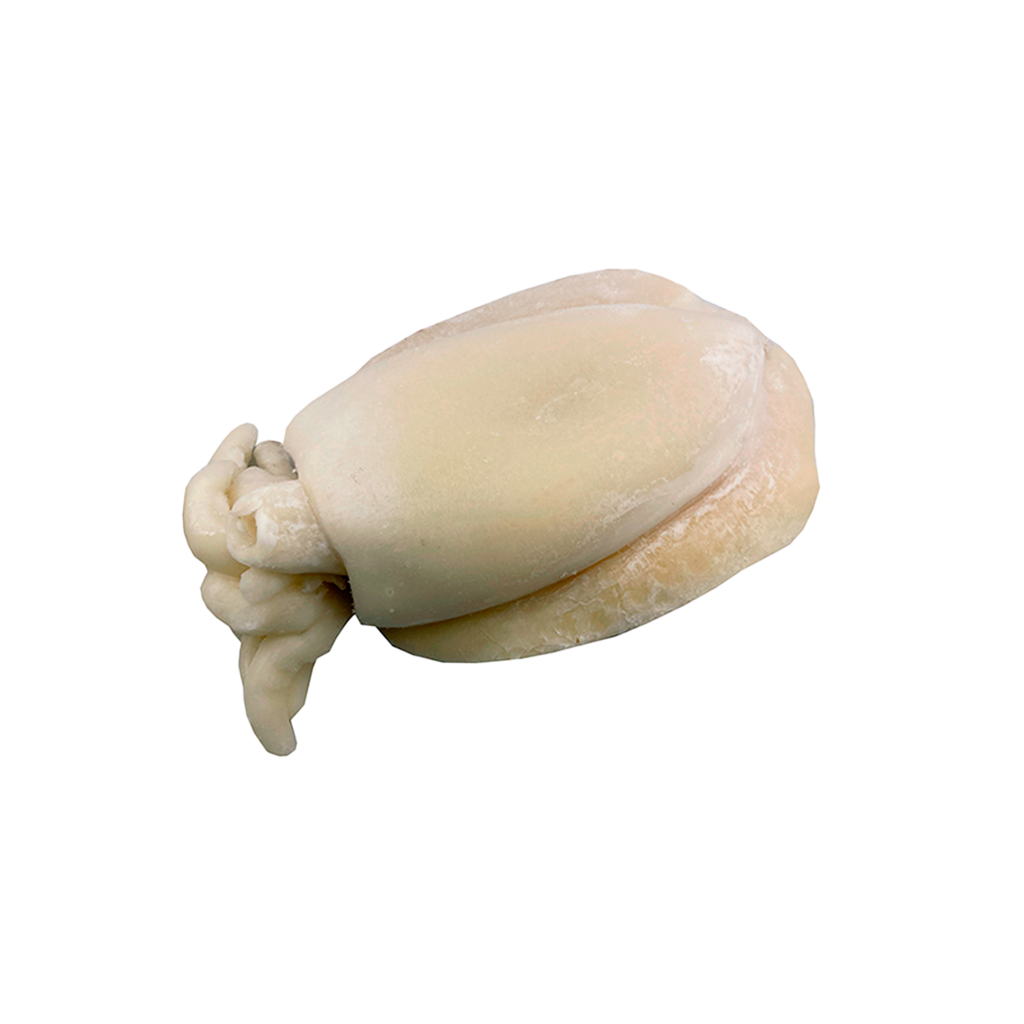 KG 17 APROX SEPIA LIMPIA GRANDE IQF(2000/3000 G/PZA.)