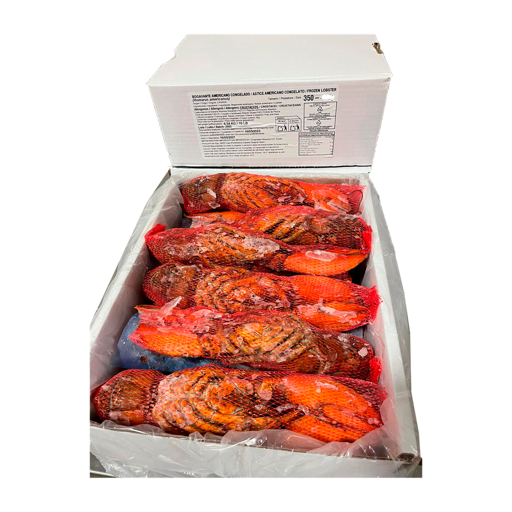 (C)KG 5 BOGAVANTE CANADA CRUDO 350/400 GR 10% GLASEO MARAVILLA