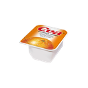 [6007406] CAJA MERMELADA NARANJA MONODOSIS EVA 80X20 GR